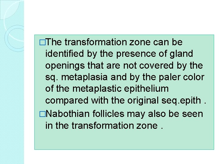 �The transformation zone can be identified by the presence of gland openings that are