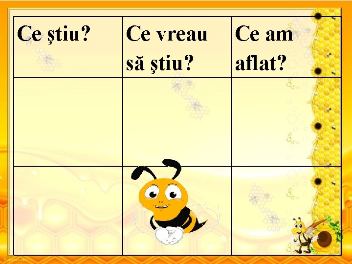 Ce ştiu? Ce vreau să ştiu? Ce am aflat? 