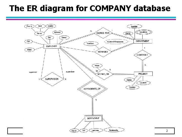 The ER diagram for COMPANY database 2 