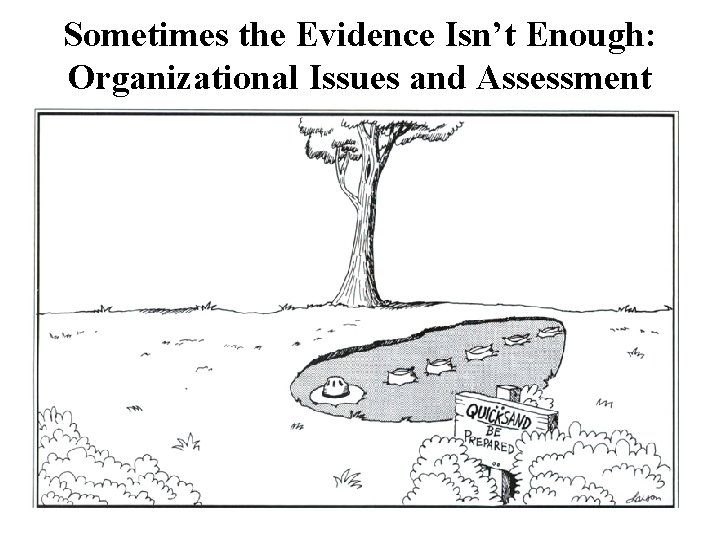 Sometimes the Evidence Isn’t Enough: Organizational Issues and Assessment 