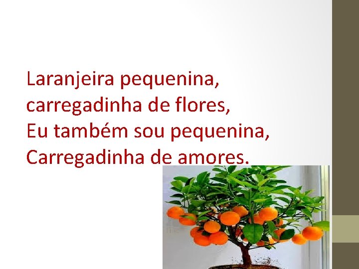 Laranjeira pequenina, carregadinha de flores, Eu também sou pequenina, Carregadinha de amores. 