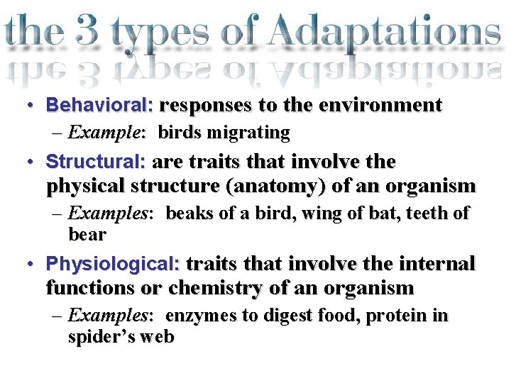  • Behavioral: responses to the environment – Example: birds migrating • Structural: are