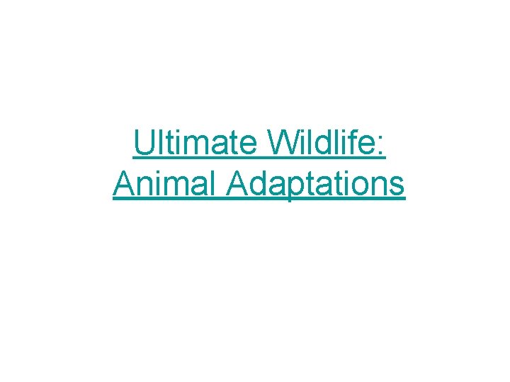 Ultimate Wildlife: Animal Adaptations 