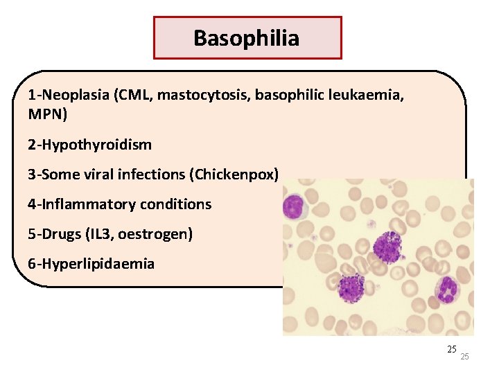 Basophilia 1 -Neoplasia (CML, mastocytosis, basophilic leukaemia, MPN) 2 -Hypothyroidism 3 -Some viral infections