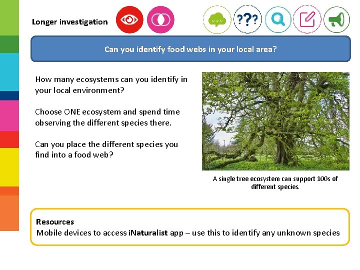 Longer investigation Can you identify food webs in your local area? How many ecosystems