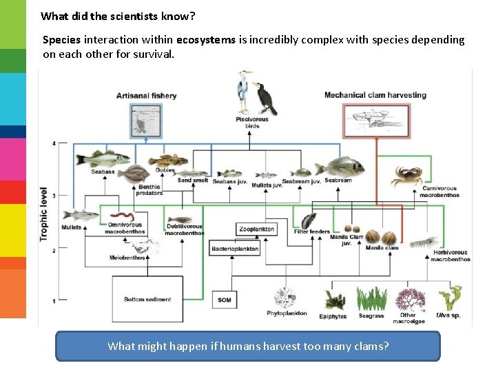 What did the scientists know? Species interaction within ecosystems is incredibly complex with species