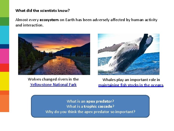 What did the scientists know? Almost every ecosystem on Earth has been adversely affected