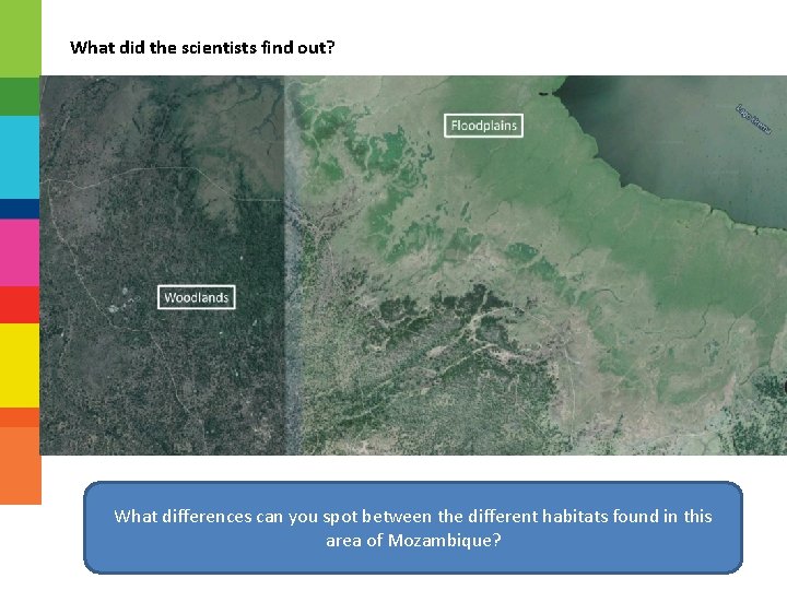 What did the scientists find out? What differences can you spot between the different