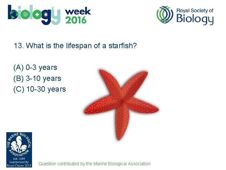 13. What is the lifespan of a starfish? (A) 0 -3 years (B) 3