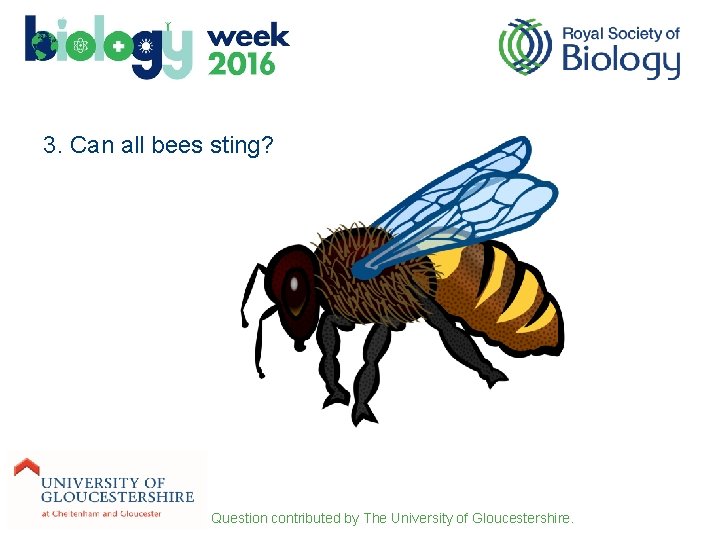 3. Can all bees sting? Question contributed by The University of Gloucestershire. 