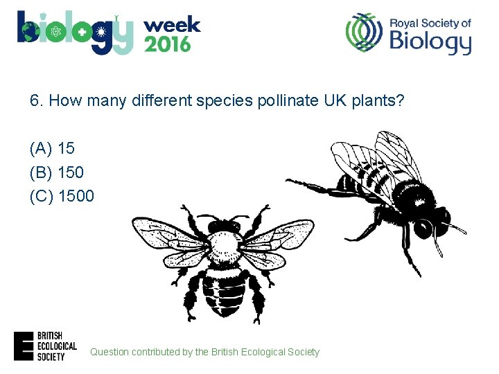 6. How many different species pollinate UK plants? (A) 15 (B) 150 (C) 1500