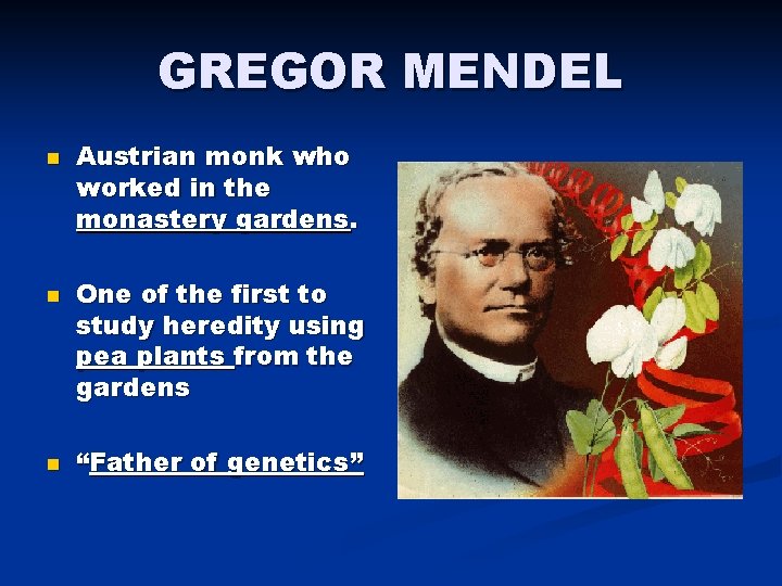 GREGOR MENDEL n n n Austrian monk who worked in the monastery gardens. One