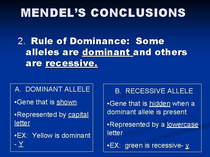MENDEL’S CONCLUSIONS 2. Rule of Dominance: Some alleles are dominant and others are recessive.