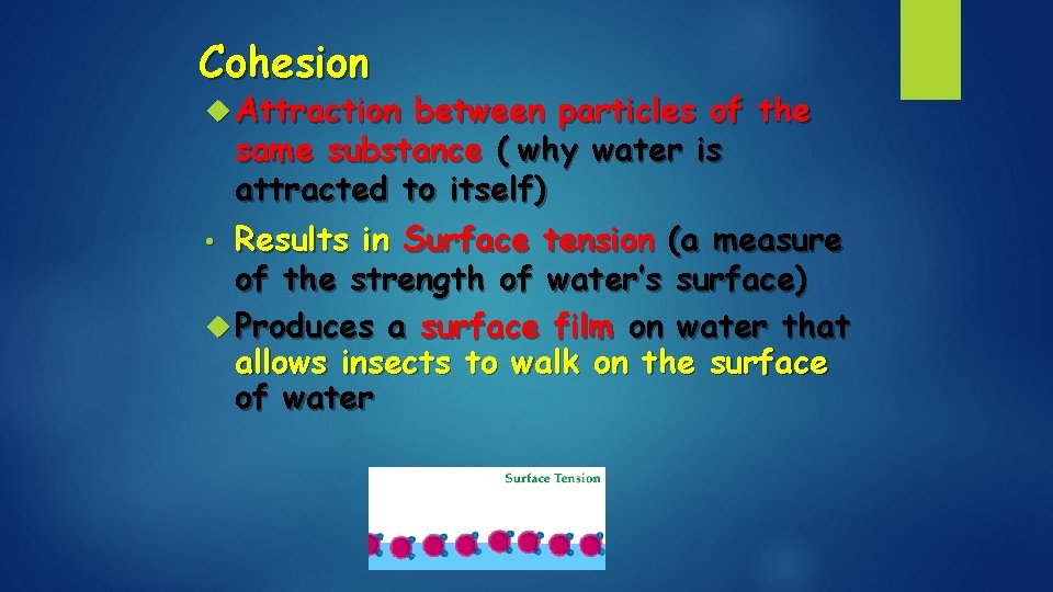 Cohesion Attraction between particles of the same substance ( why water is attracted to