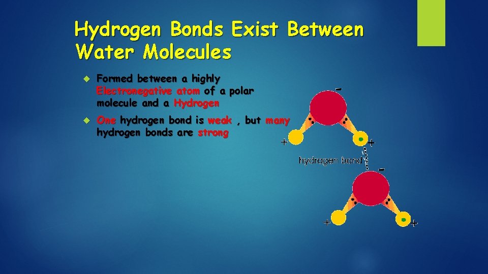 Hydrogen Bonds Exist Between Water Molecules Formed between a highly Electronegative atom of a