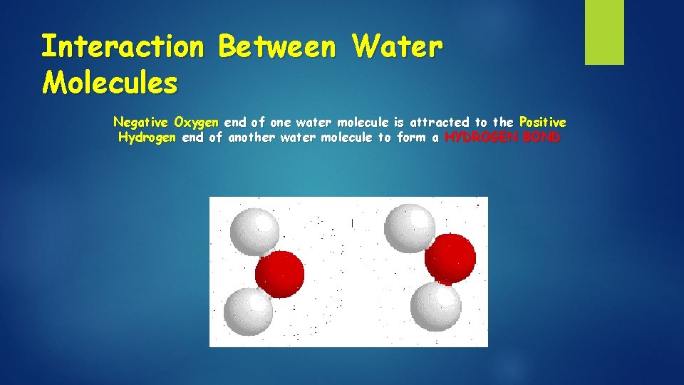 Interaction Between Water Molecules Negative Oxygen end of one water molecule is attracted to Interaction Between Water Molecules Negative Oxygen end of one water molecule is attracted to