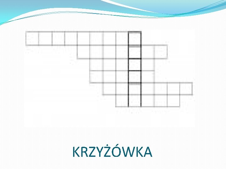 KRZYŻÓWKA 