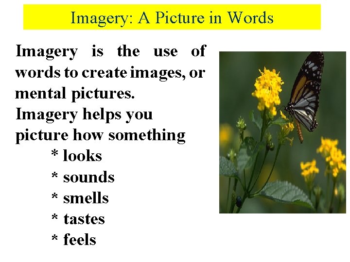 Imagery: A Picture in Words Imagery is the use of words to create images,