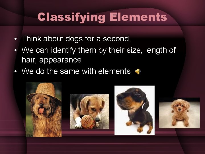 Classifying Elements • Think about dogs for a second. • We can identify them