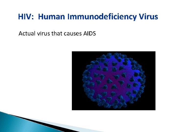 HIV: Human Immunodeficiency Virus Actual virus that causes AIDS 