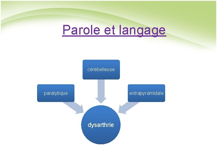 Parole et langage cérébelleuse paralytique extrapyramidale dysarthrie 