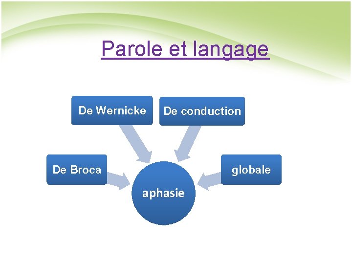 Parole et langage De Wernicke De conduction De Broca globale aphasie 