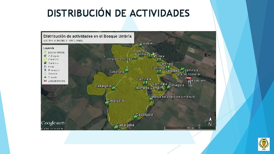 DISTRIBUCIÓN DE ACTIVIDADES 