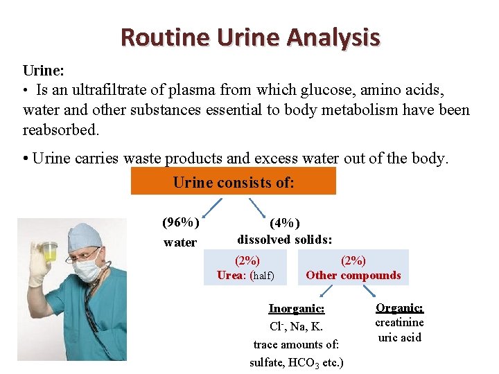 Routine Urine Analysis Urine: • Is an ultrafiltrate of plasma from which glucose, amino