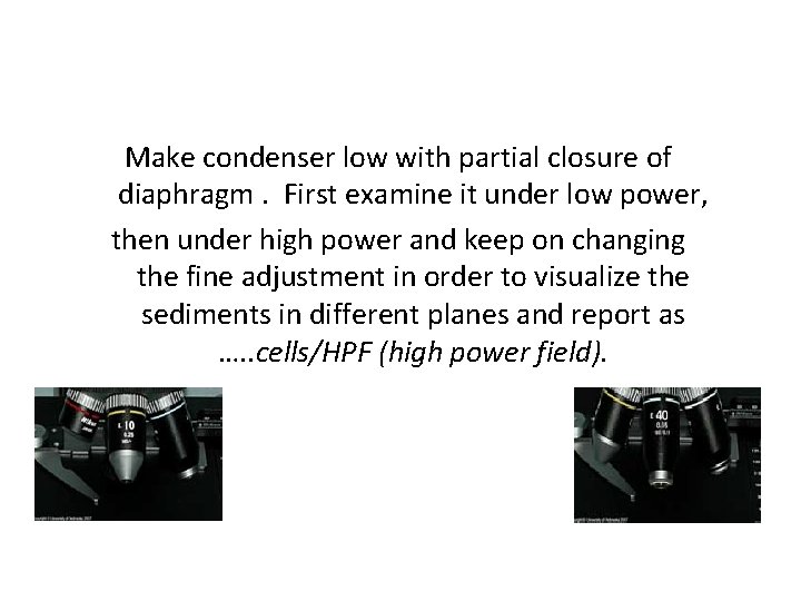 Make condenser low with partial closure of diaphragm. First examine it under low power,