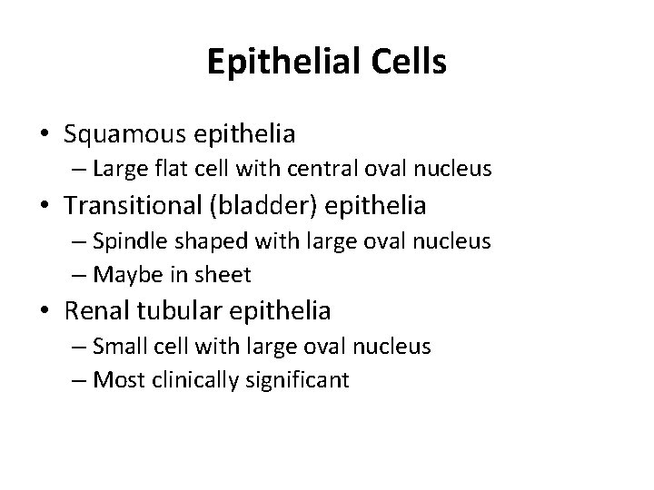 Epithelial Cells • Squamous epithelia – Large flat cell with central oval nucleus •