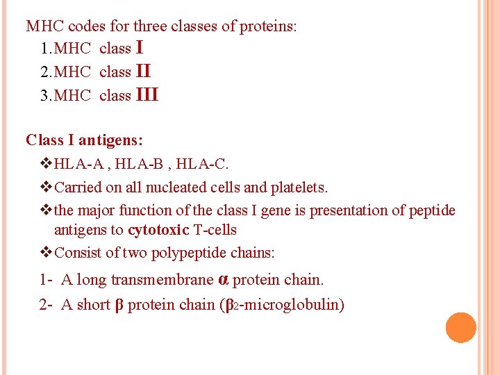 MHC codes for three classes of proteins: 1. MHC class I 2. MHC class