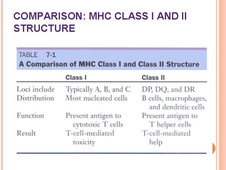 COMPARISON: MHC CLASS I AND II STRUCTURE 