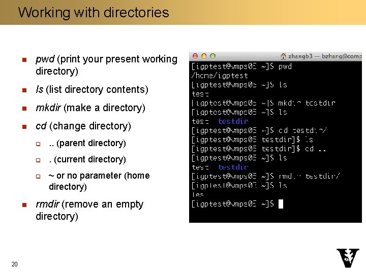 Working with directories n pwd (print your present working directory) n ls (list directory