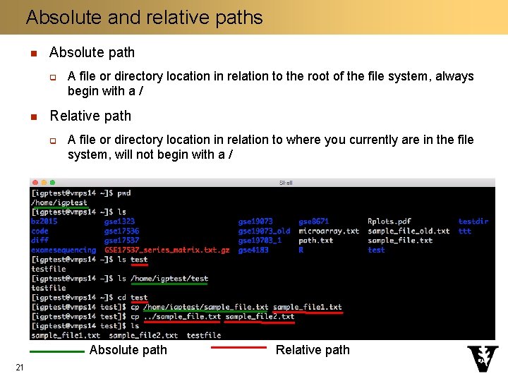 Absolute and relative paths n Absolute path q n A file or directory location