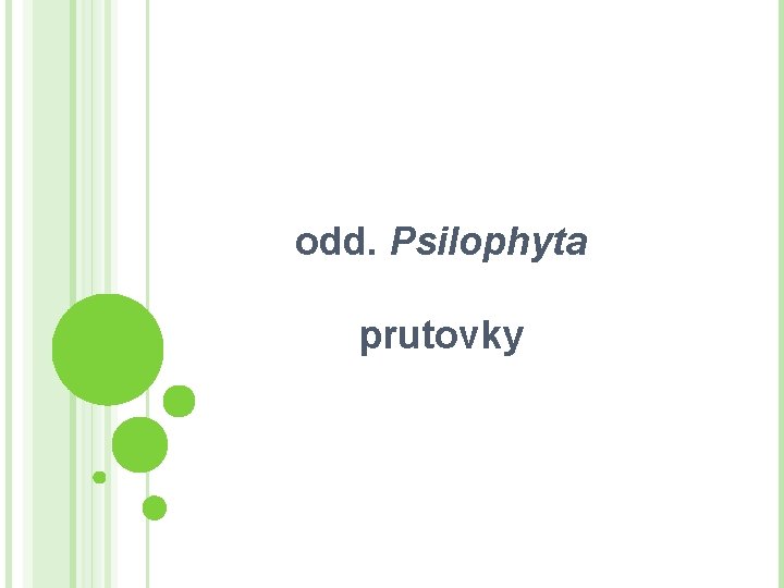 odd. Psilophyta prutovky 