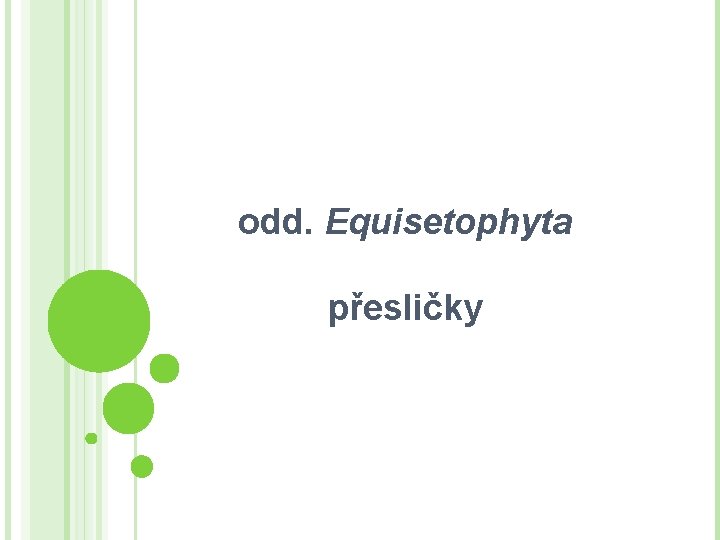 odd. Equisetophyta přesličky 