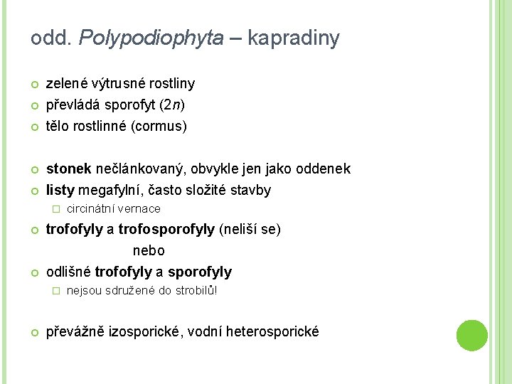 odd. Polypodiophyta – kapradiny zelené výtrusné rostliny převládá sporofyt (2 n) tělo rostlinné (cormus)