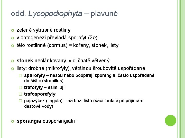 odd. Lycopodiophyta – plavuně zelené výtrusné rostliny v ontogenezi převládá sporofyt (2 n) tělo