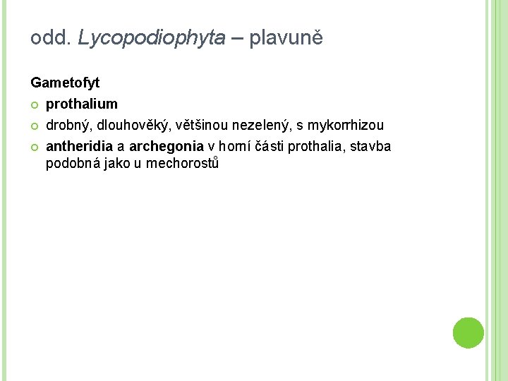 odd. Lycopodiophyta – plavuně Gametofyt prothalium drobný, dlouhověký, většinou nezelený, s mykorrhizou antheridia a