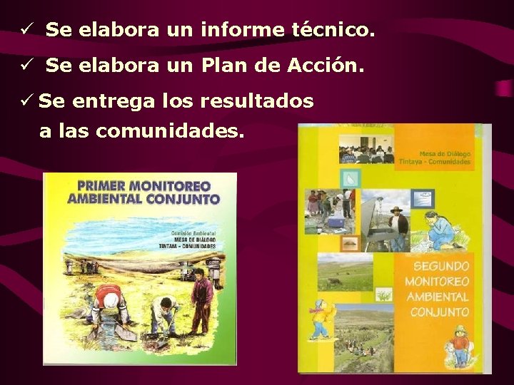 ü Se elabora un informe técnico. ü Se elabora un Plan de Acción. ü