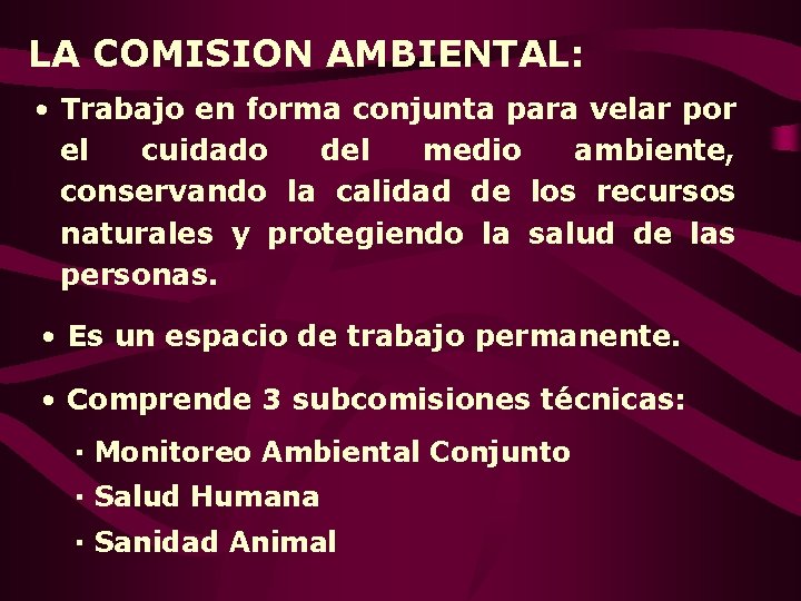 LA COMISION AMBIENTAL: • Trabajo en forma conjunta para velar por el cuidado del