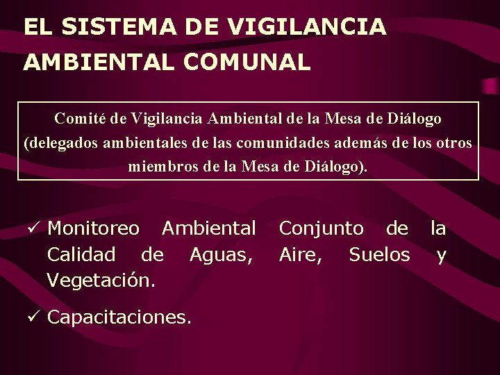 EL SISTEMA DE VIGILANCIA AMBIENTAL COMUNAL Comité de Vigilancia Ambiental de la Mesa de