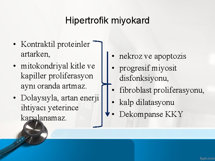 Hipertrofik miyokard • Kontraktil proteinler artarken, • mitokondriyal kitle ve kapiller proliferasyon aynı oranda