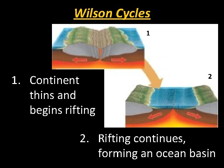 Wilson Cycles 1 1. Continent thins and begins rifting 2 2. Rifting continues, forming