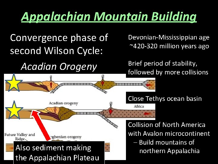 Appalachian Mountain Building Convergence phase of second Wilson Cycle: Acadian Orogeny Devonian-Mississippian age ~420