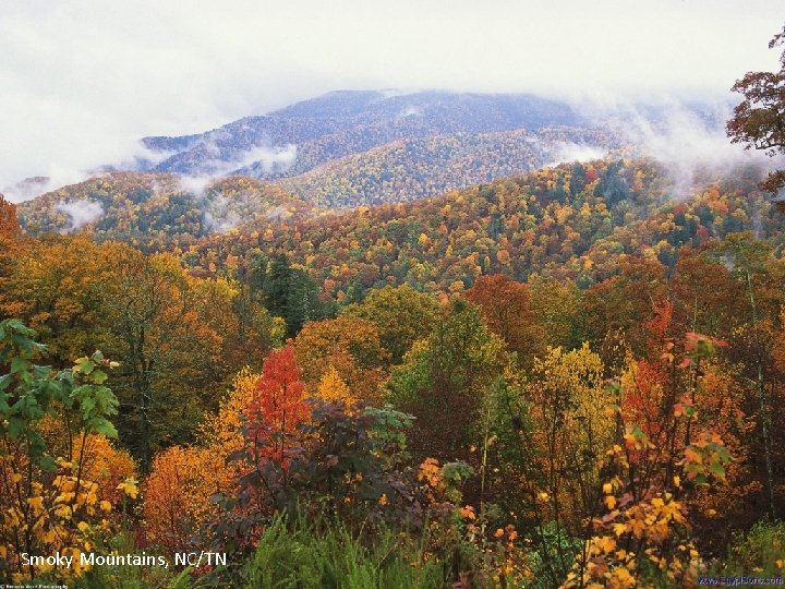 Smoky Mountains, NC/TN 