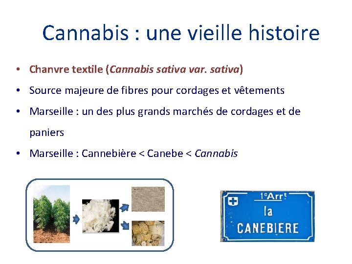 Cannabis : une vieille histoire • Chanvre textile (Cannabis sativa var. sativa) • Source