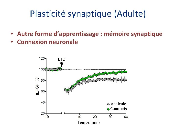 Plasticité synaptique (Adulte) • Autre forme d’apprentissage : mémoire synaptique • Connexion neuronale Véhicule