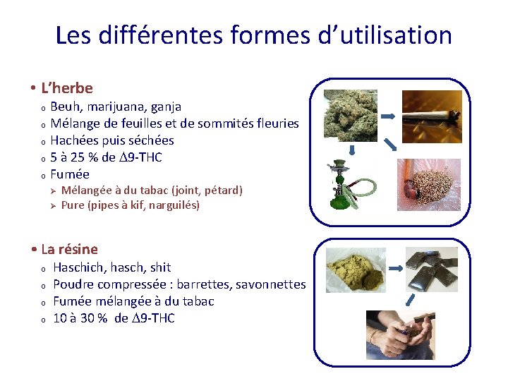 Les différentes formes d’utilisation • L’herbe o o o Beuh, marijuana, ganja Mélange de