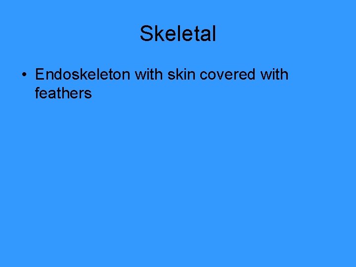 Skeletal • Endoskeleton with skin covered with feathers 